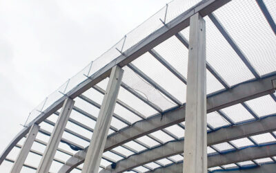 Indra Rozas de Ben Alonso SL